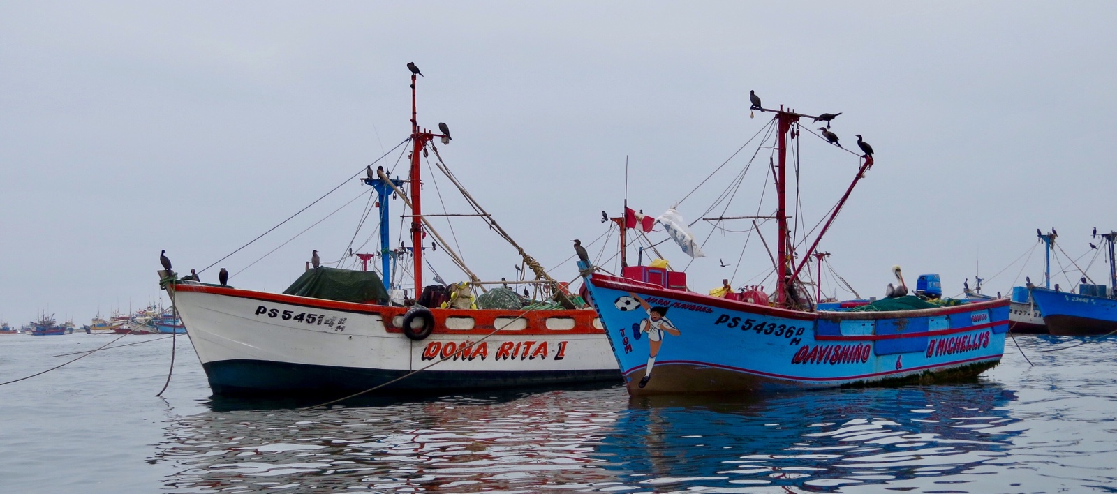 Paracas