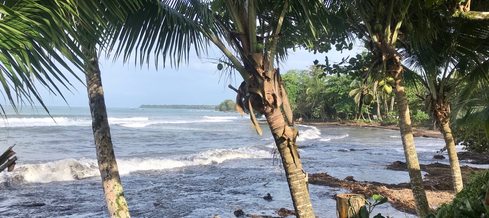 Cahuita