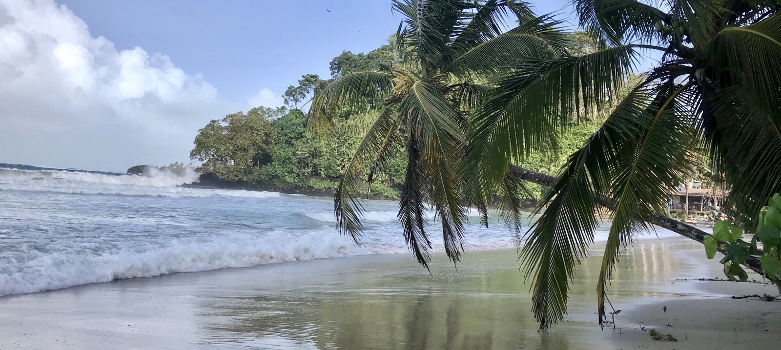 Bocas del Toro